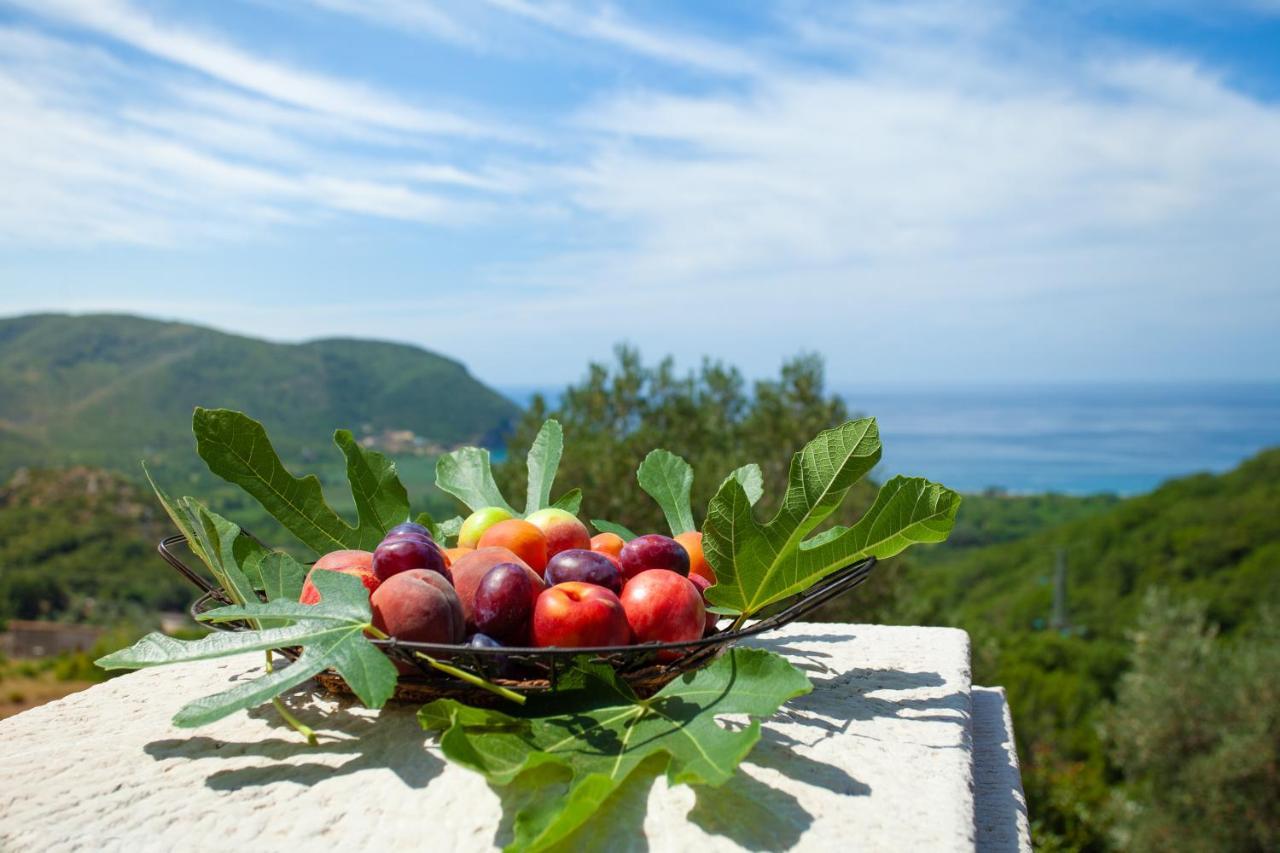 Eco Village Buljarica Budva Dış mekan fotoğraf