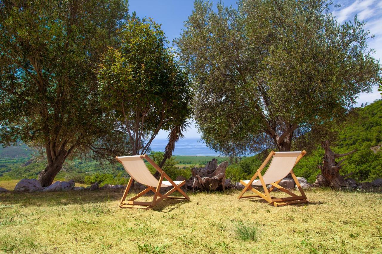 Eco Village Buljarica Budva Dış mekan fotoğraf
